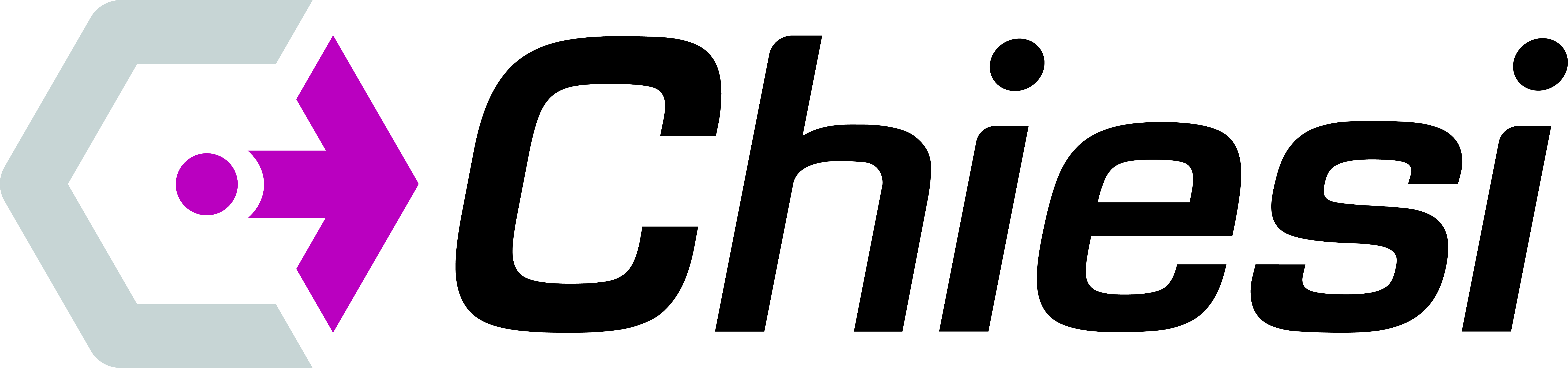 Chiesi Logo - 1.Primary (2) (1).jpg